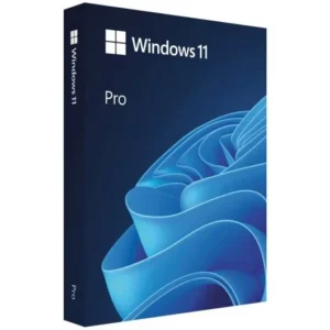 Microsoft Windows 11 Pro 64 Bit Español Licencia Permanente FPP USB